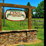 CeNita Vineyards, Winery & Tasting Room