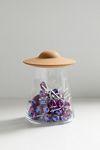 UFO Storage Jar