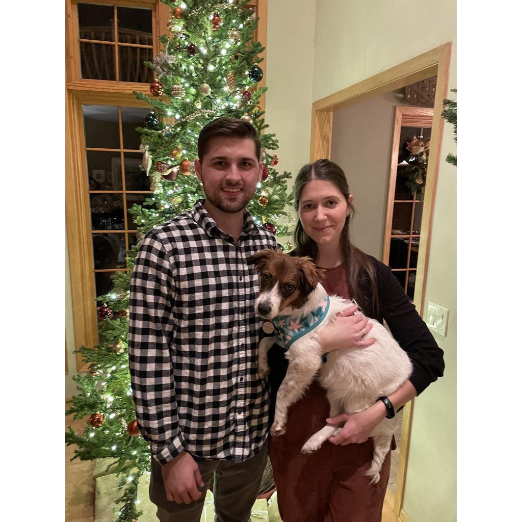 Oops! We got another dog!