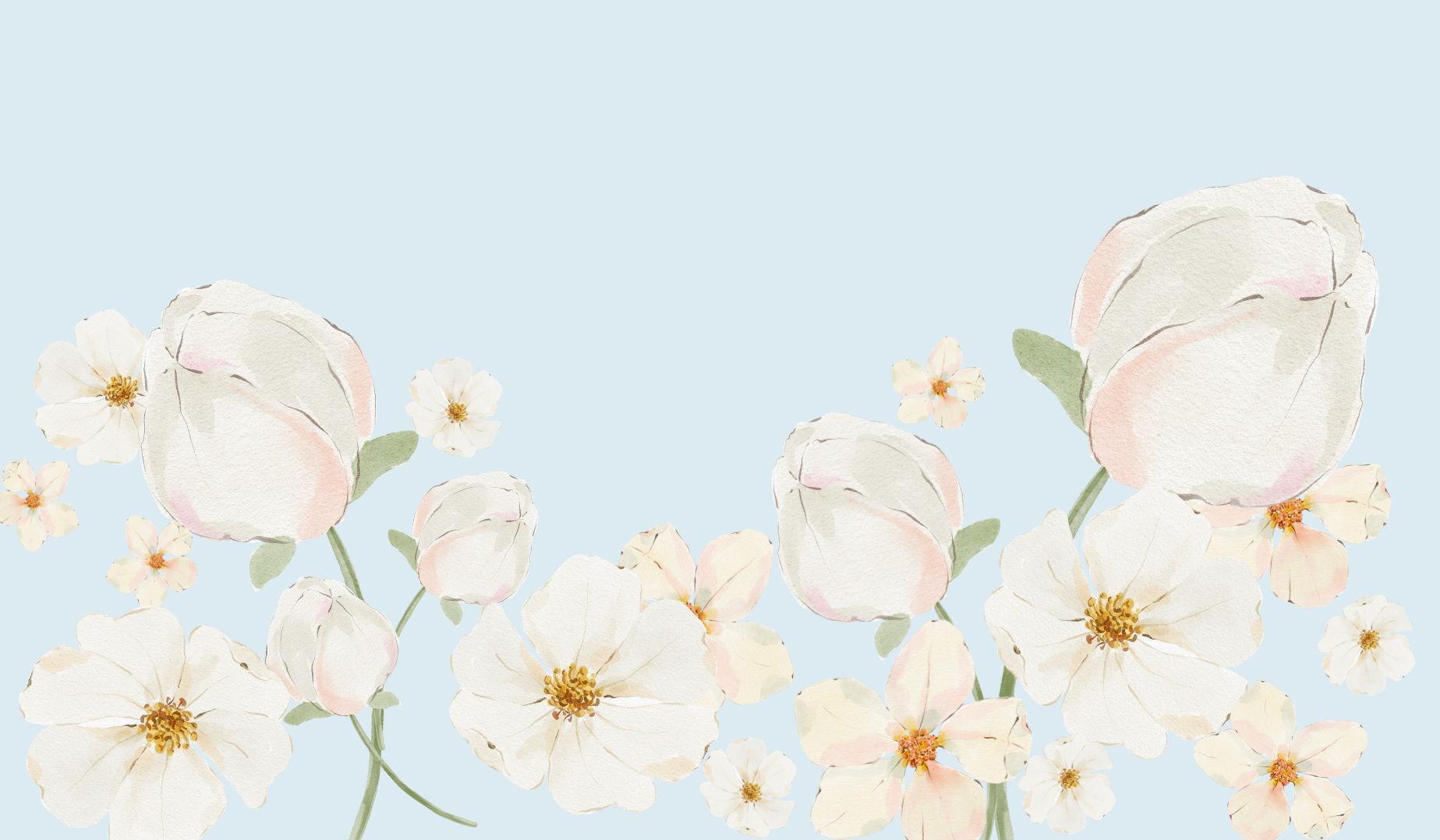 Footer image