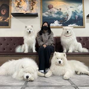 Future dog fund!