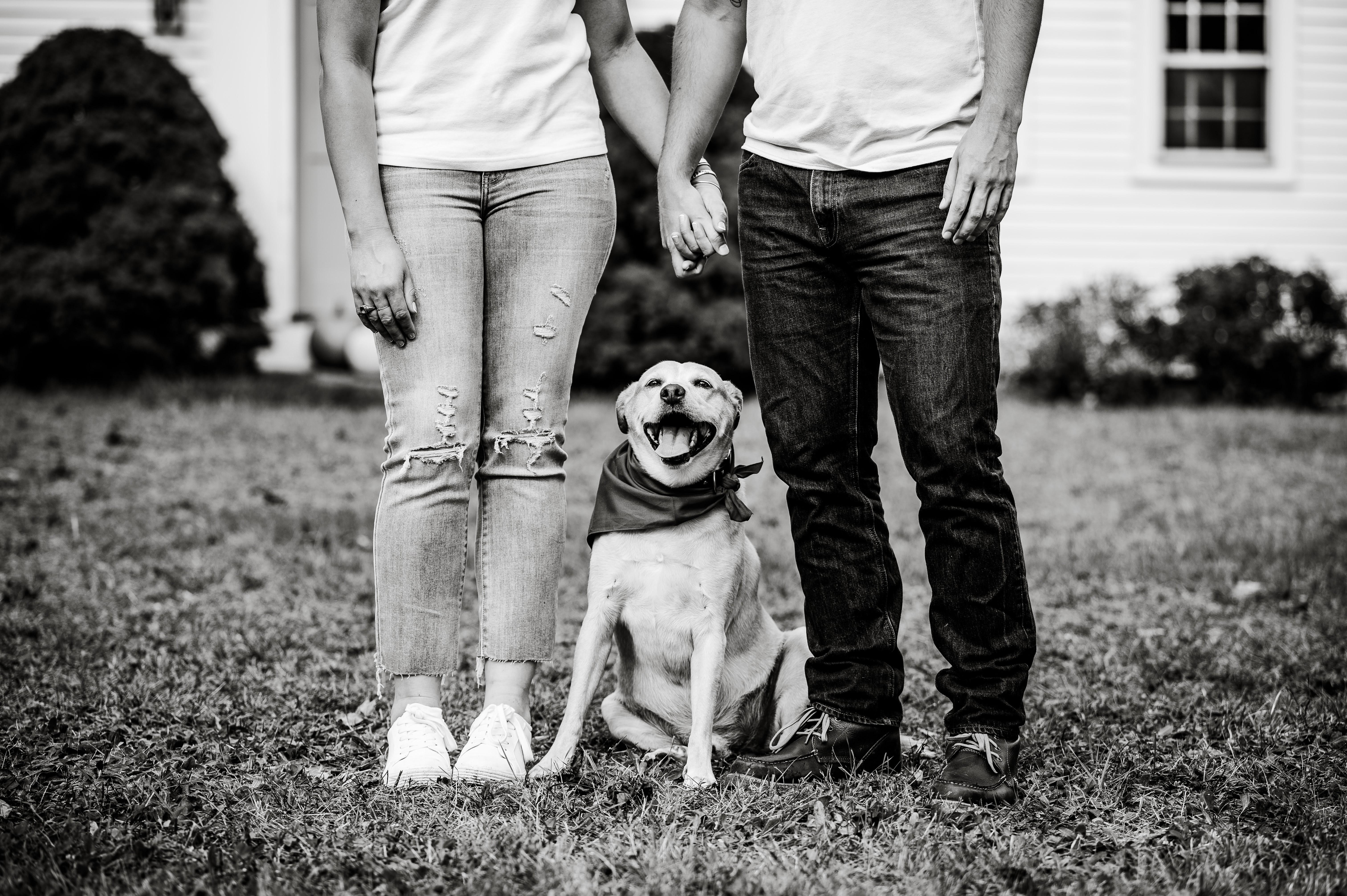 The Wedding Website of Michaela Van Antwerp and Michael Lazaris