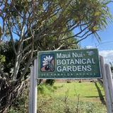 Maui Nui Botanical Gardens