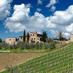 Drive around Chianti and visit other wineries