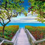 Jupiter Beach