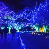 Norfolk Botanical Garden