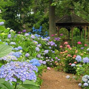 Norfolk Botanical Garden Membership