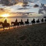 Horseback Riding with Cruzan Cowgirls