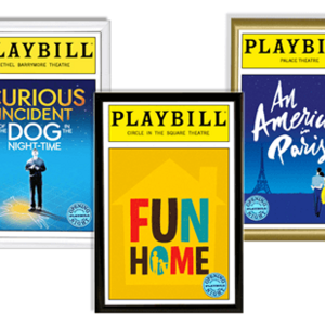 The Basic Playbill Display Frame