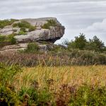 Norman Bird Sanctuary