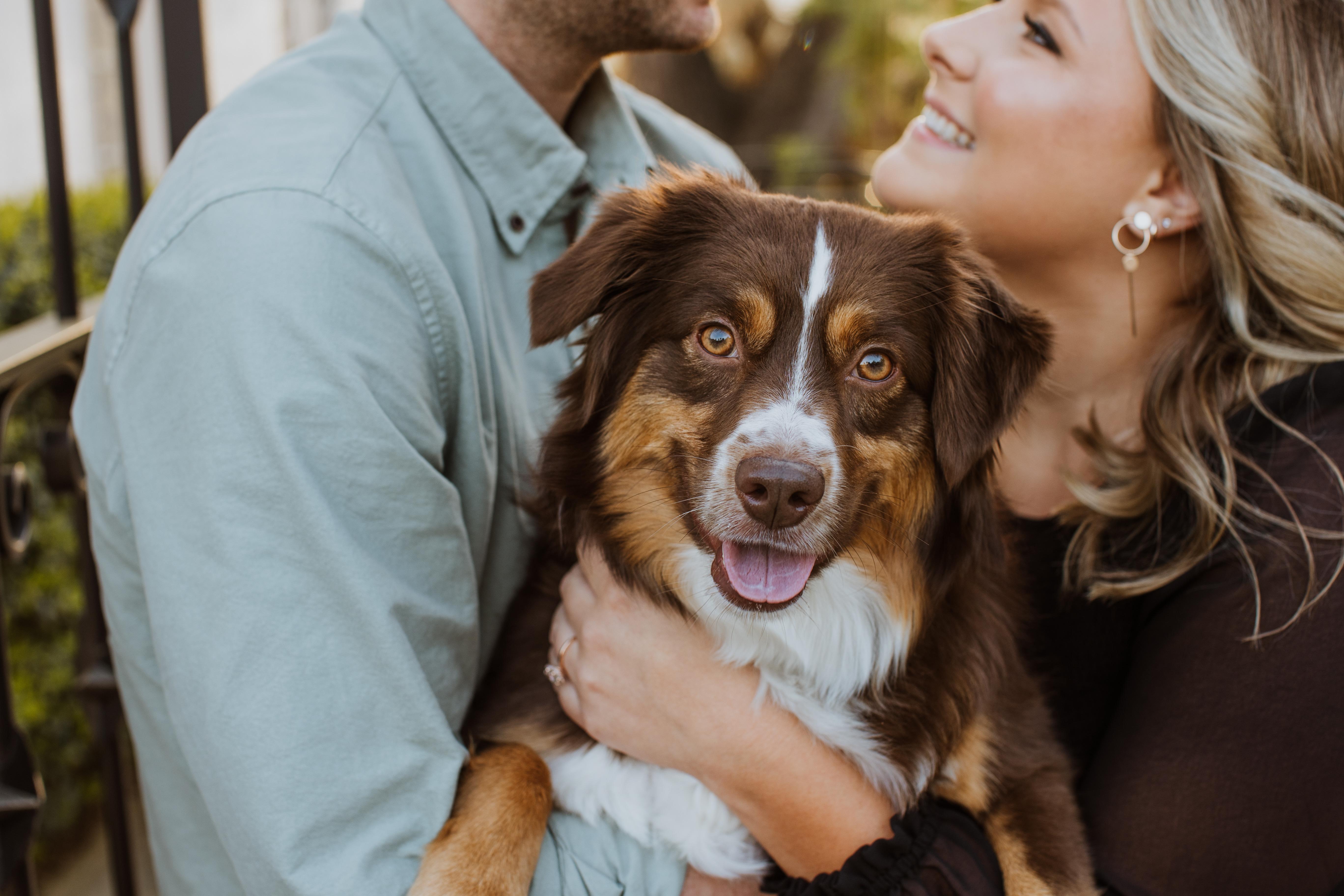 The Wedding Website of Casey Bass and Zack Ratcliffe