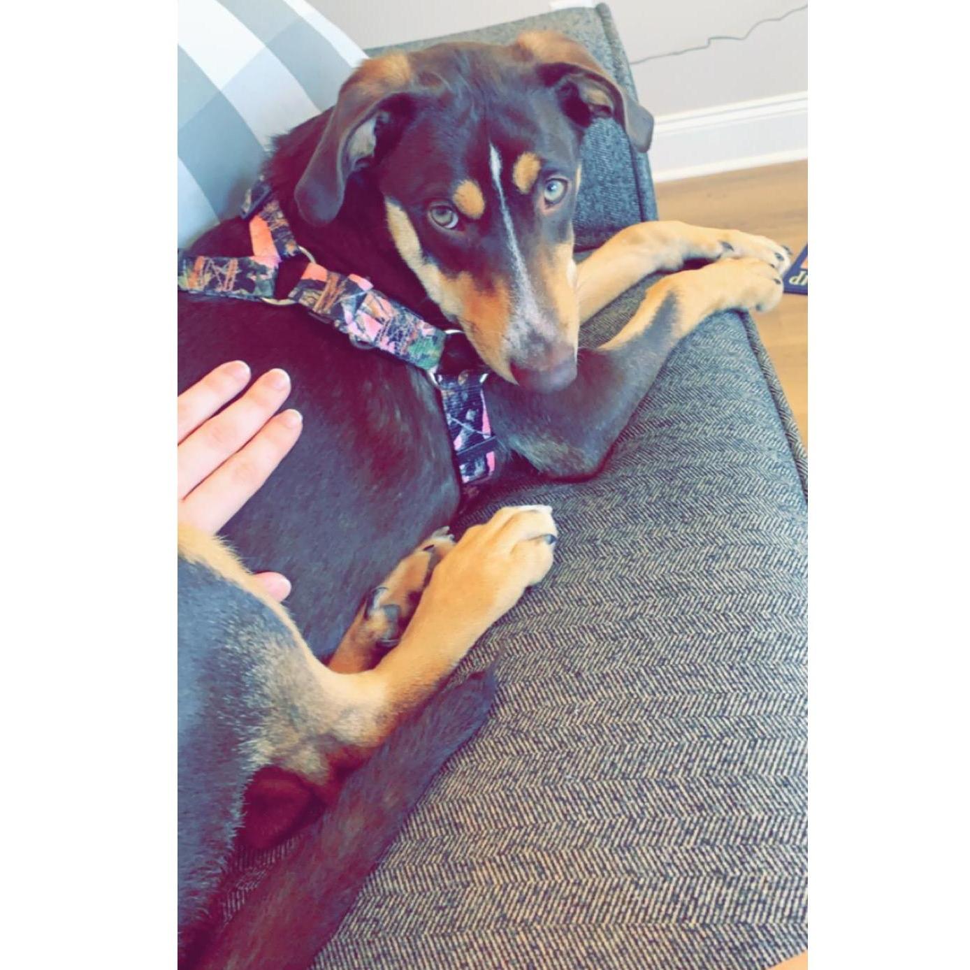 Our Elsie Boo