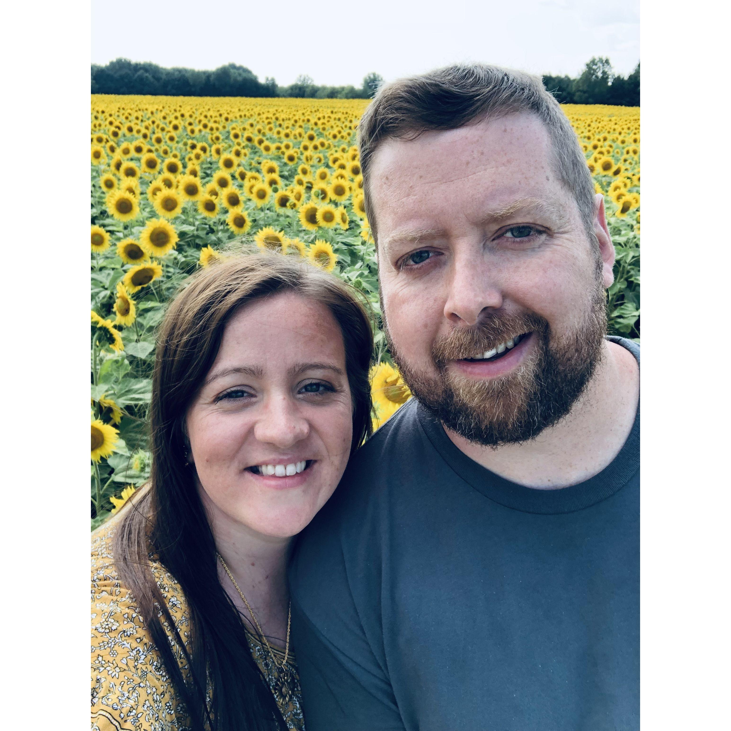 This was our second year going to the sunflower fields at Eugster's Farm Market.