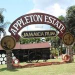 Appleton Estate