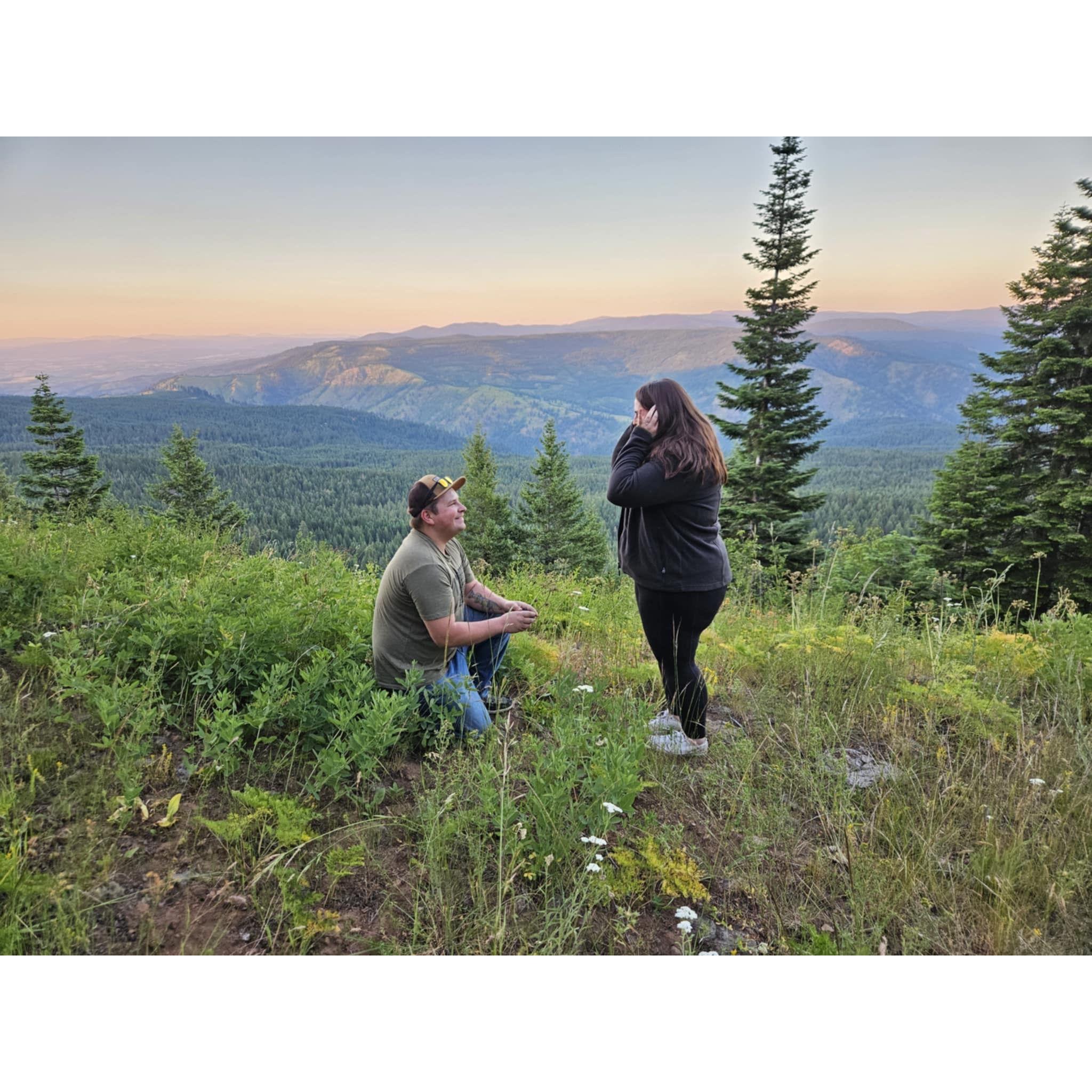 I said “Yes!”