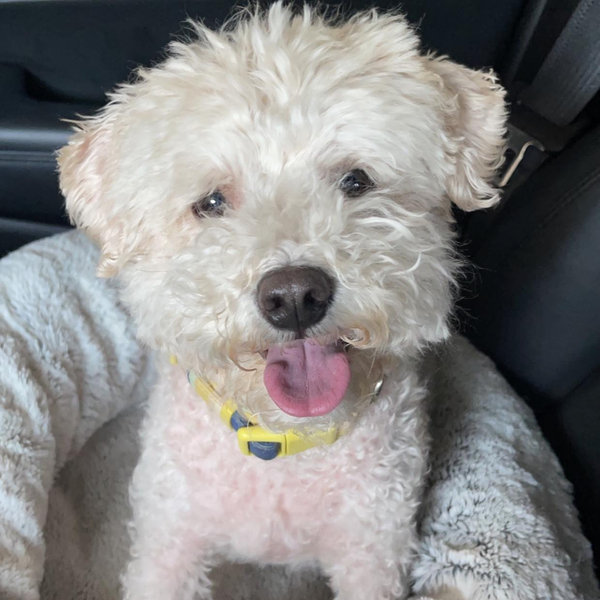 Baxter’s Toy Fund