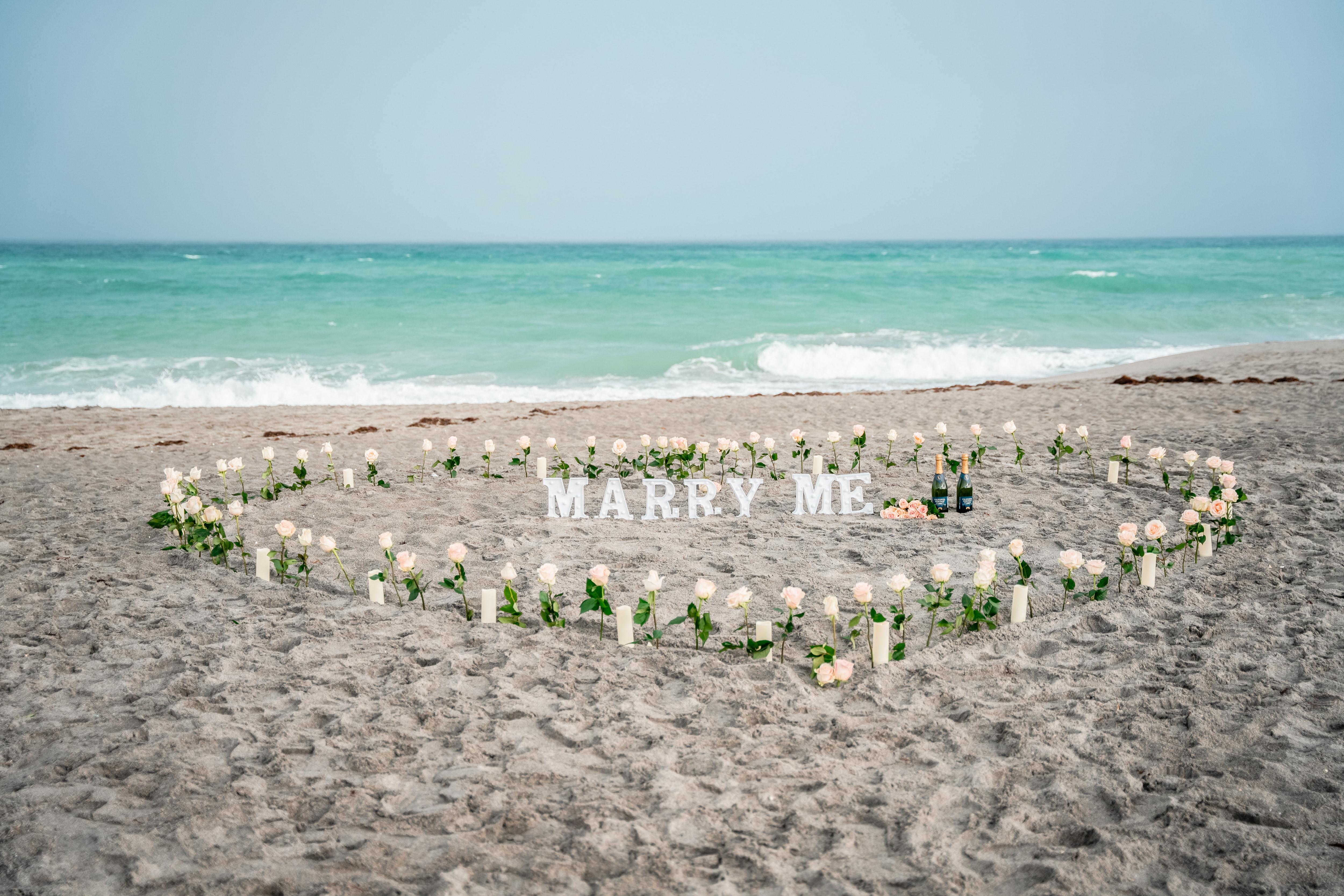 The Wedding Website of Hallie Fischman and Mitch McManaman