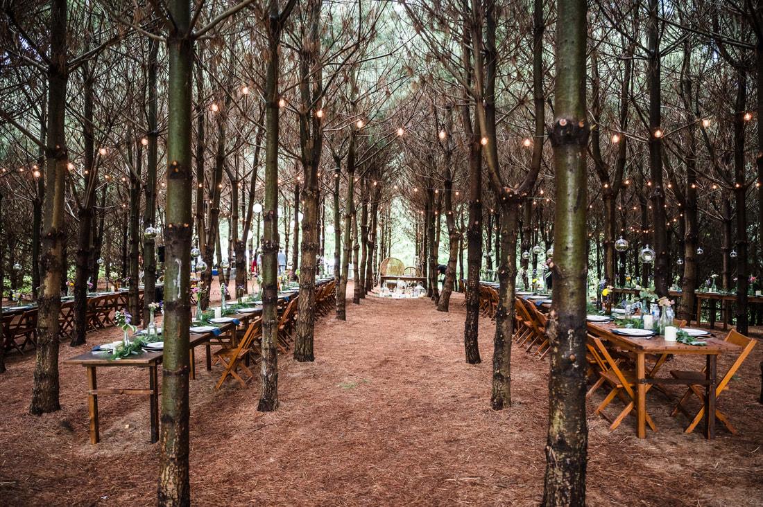 The Wedding Website of MICHAEL SEMON and MACKENZIE CRAIG