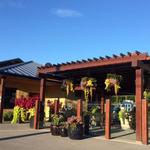 Upper Bench Estate Winery