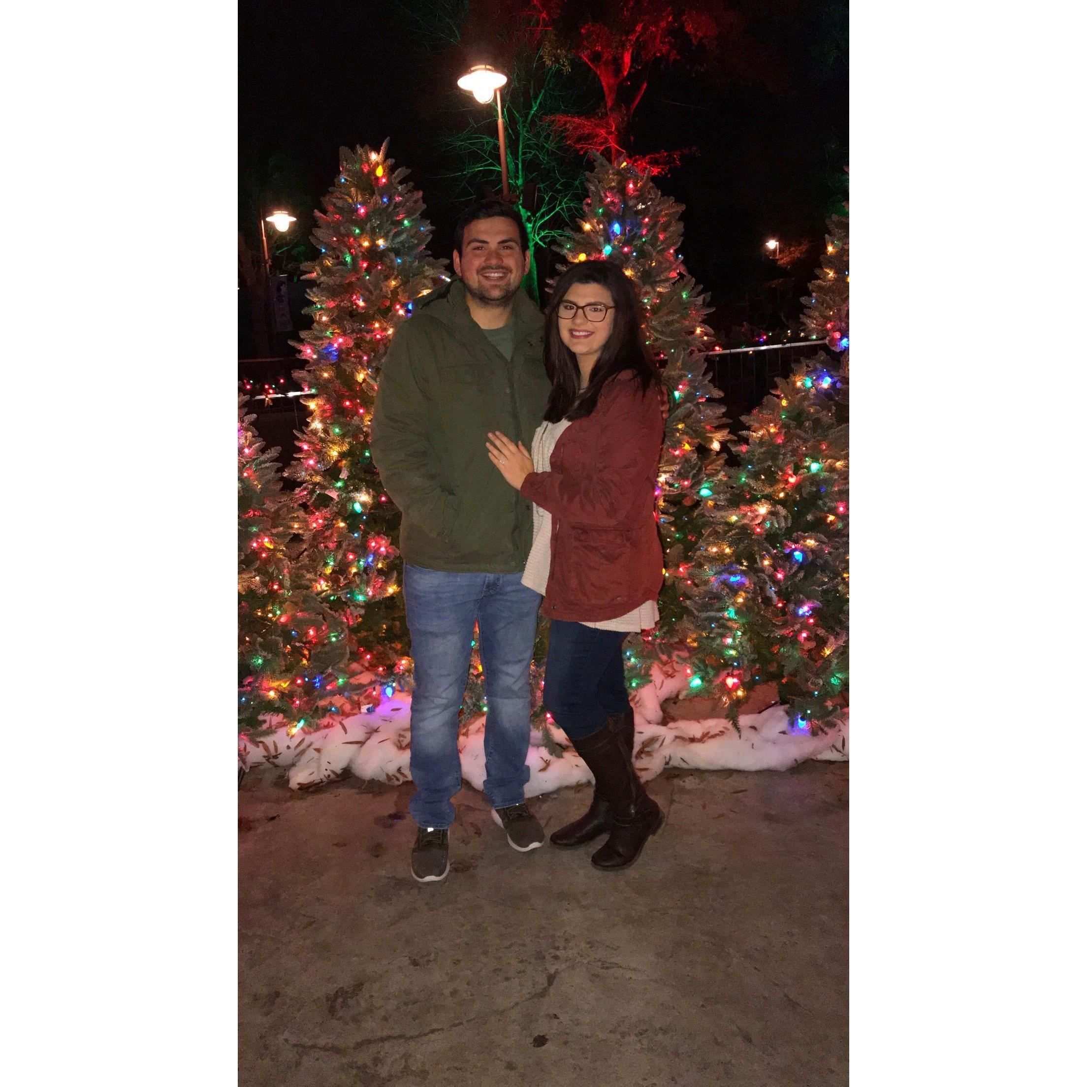 Carowinds Winterfest - 2018