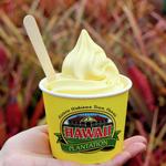 Dole Plantation