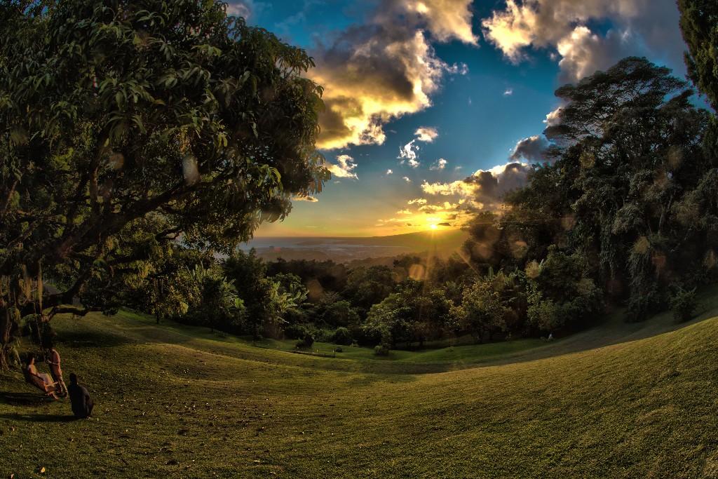 The Wedding Website of Yovo Stefanov and Michelle Gibson