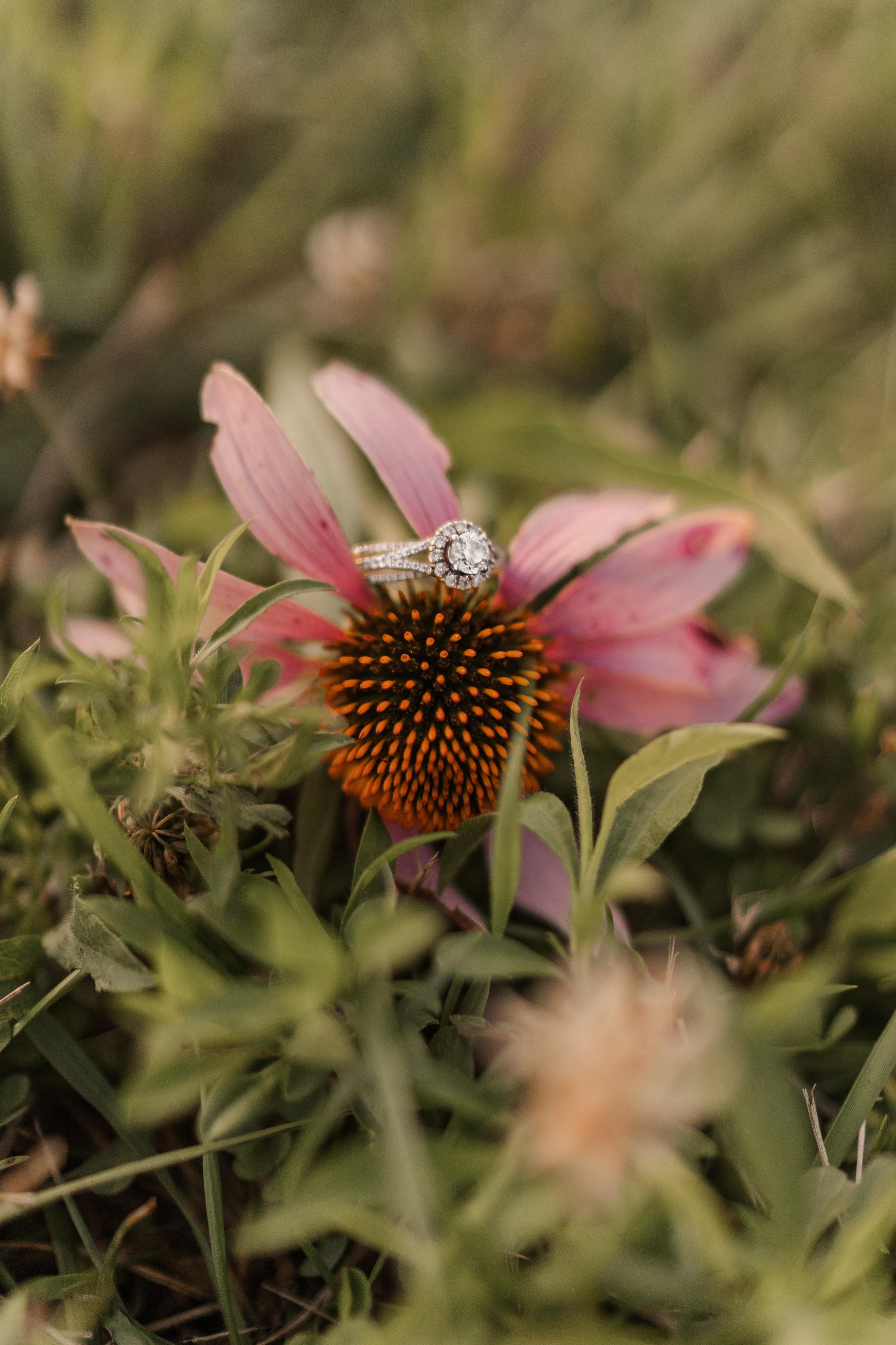 The Wedding Website of Michelle Wallace and Jason Stratton
