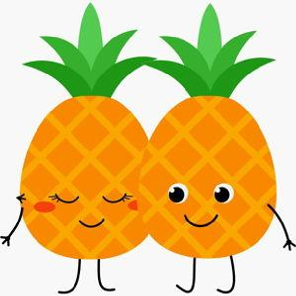 Our Honeymoon