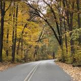 University of Wisconsin–Madison Arboretum