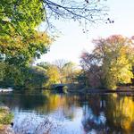 Prospect Park