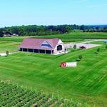 12 Corners Vineyards