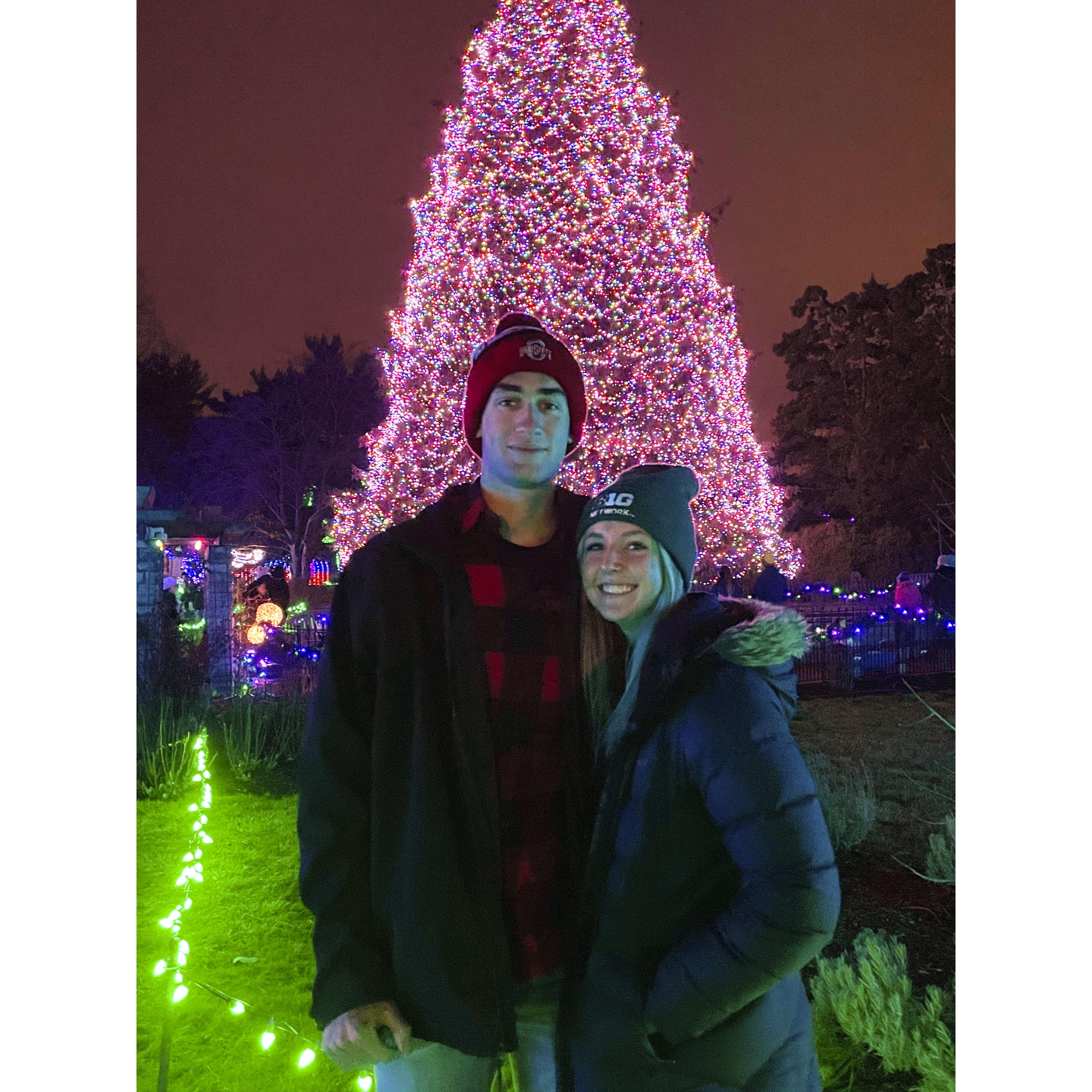First Christmas lights together