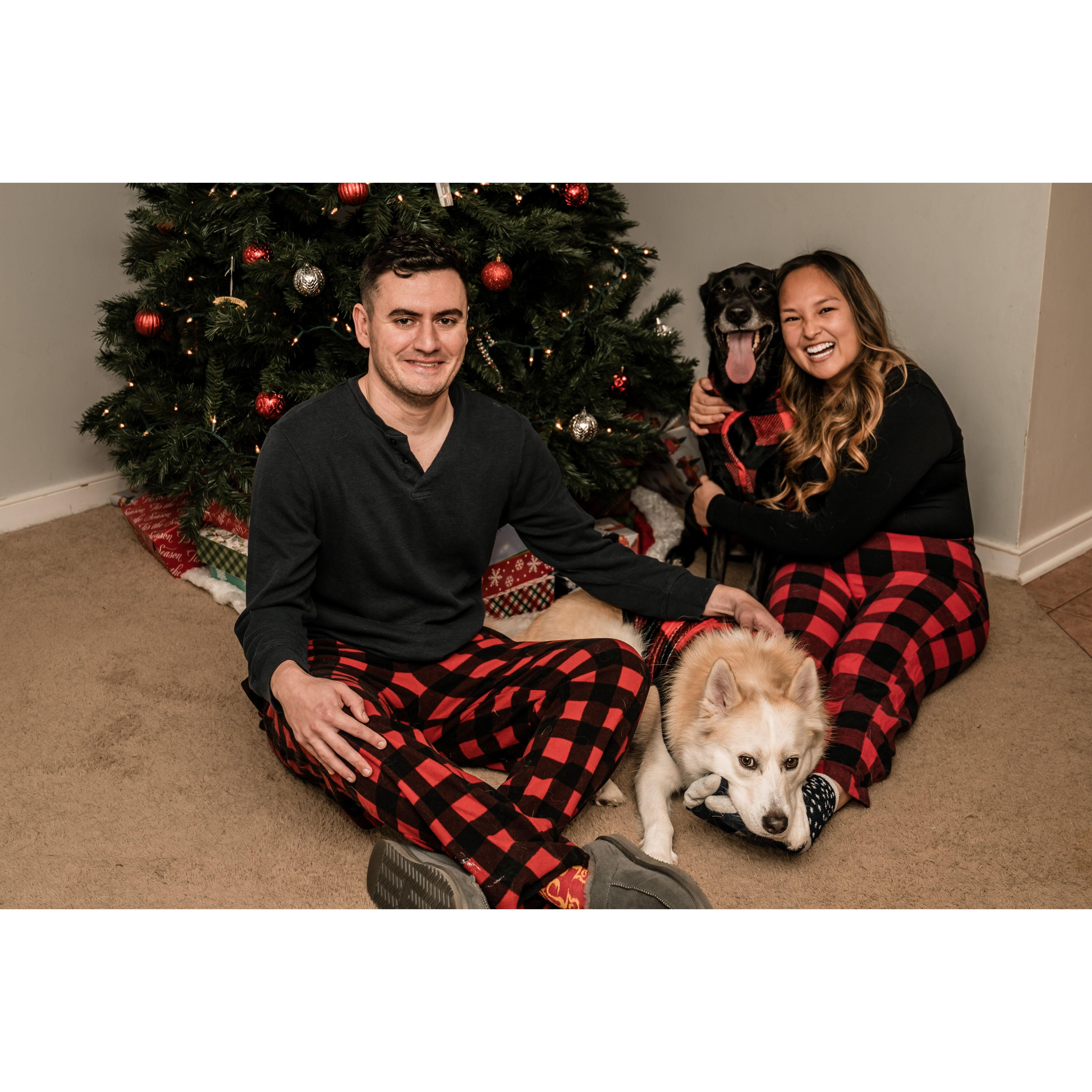 Unfortunately Jane and Aria will not be joining us but if you look really closely Lya or Mike might have some of that Husky glitter on their clothes!