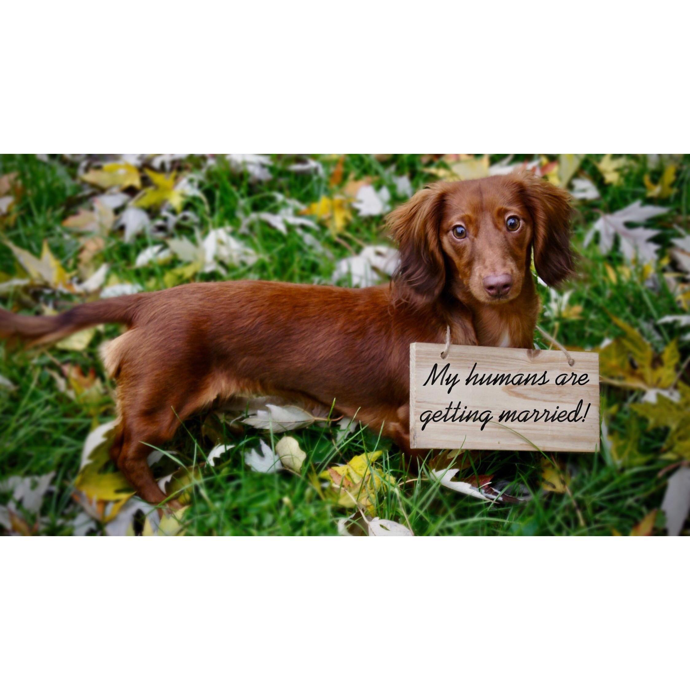 Of course Penny will get featured!