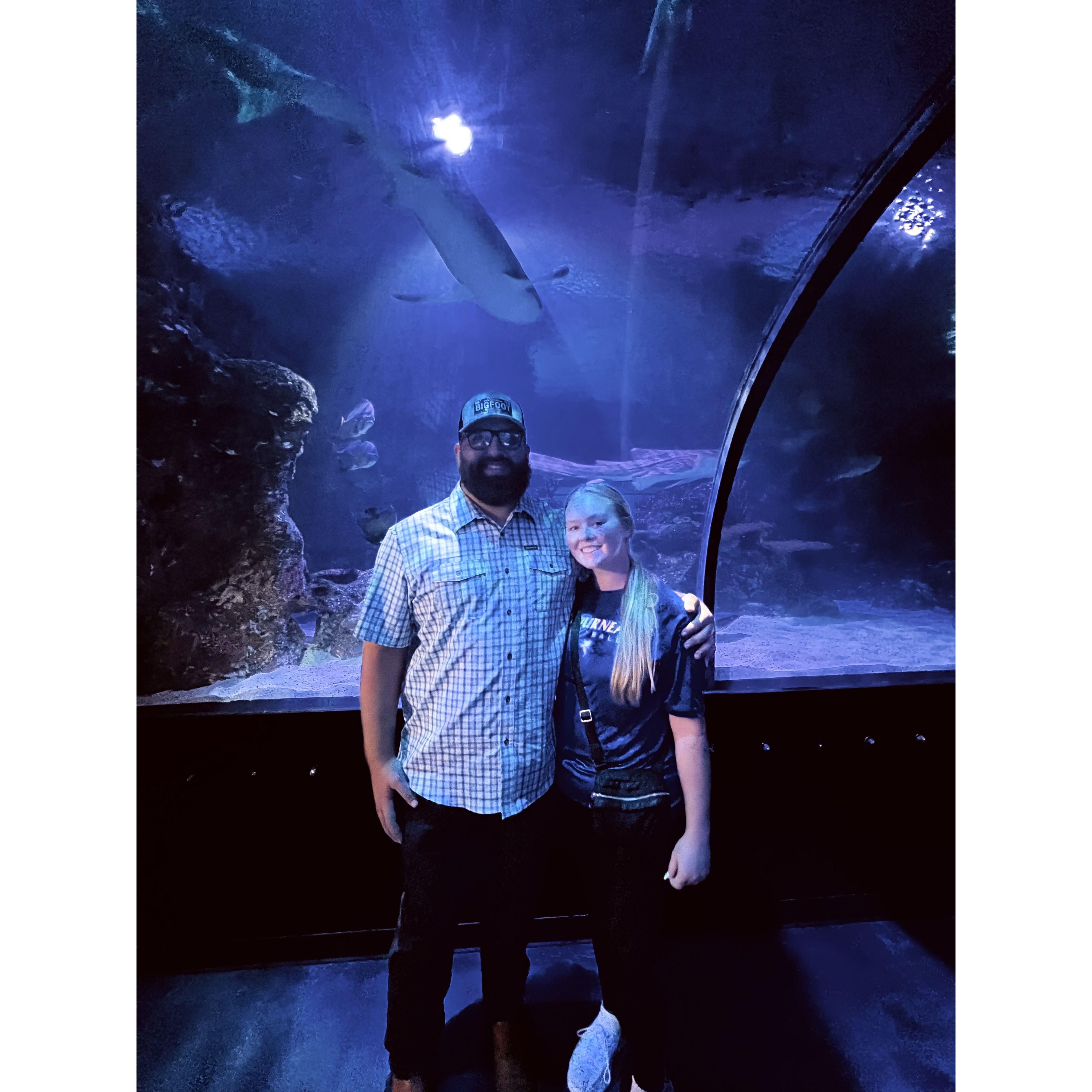 Shreveport Aquarium!!