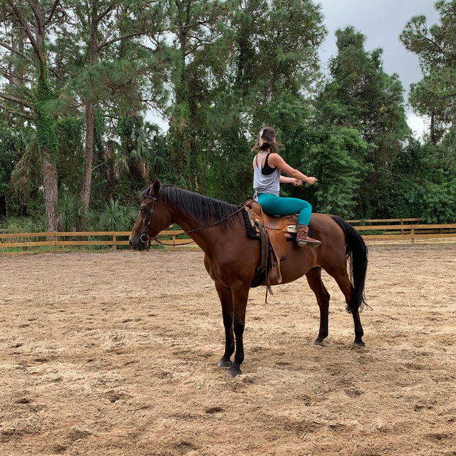 Horseback Riding On Our Honeymoon
