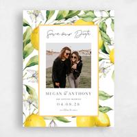 White Wedding Save the Date - Praga Photo