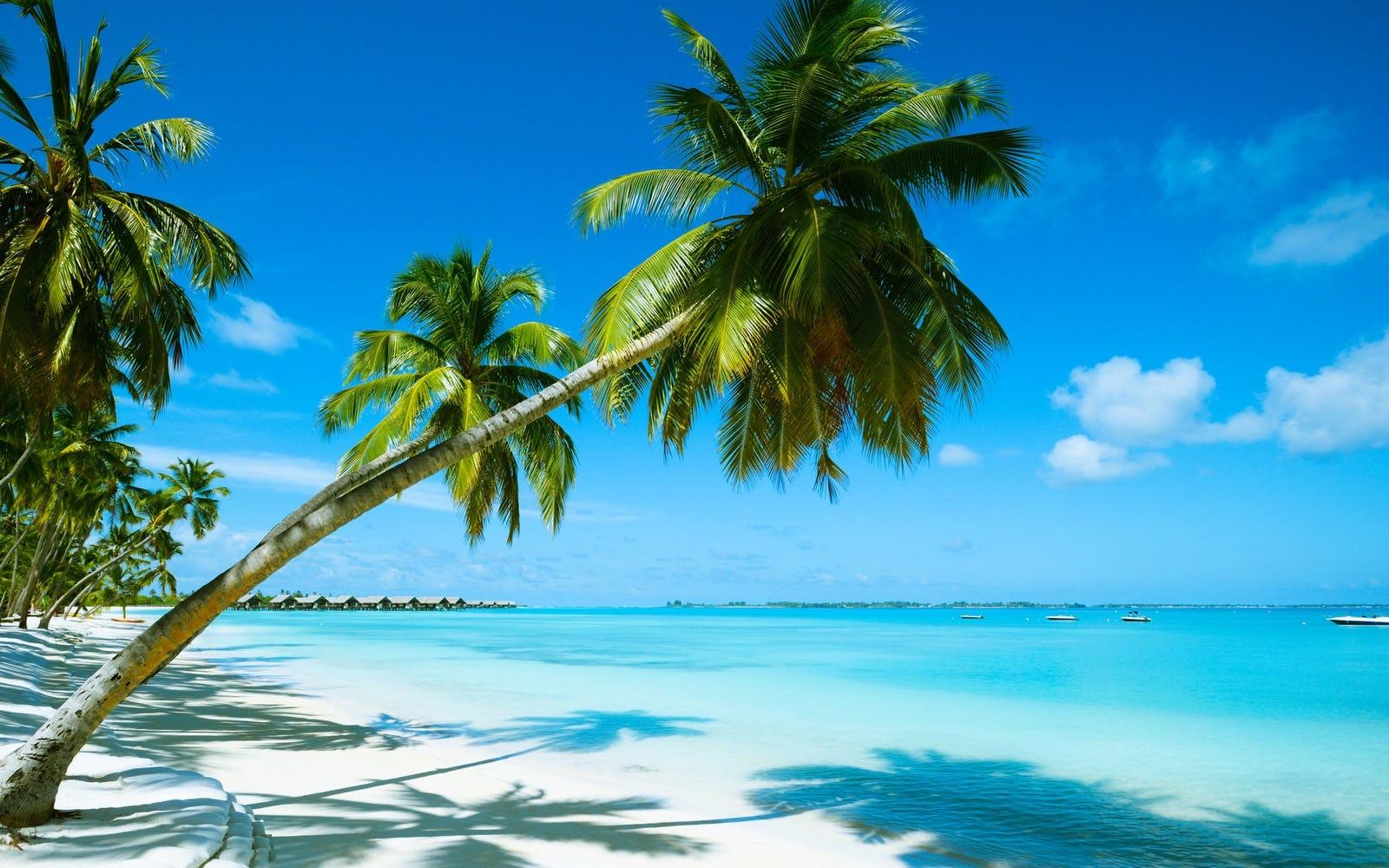 8228751d-0410-4924-9a9d-6341bf6cb570