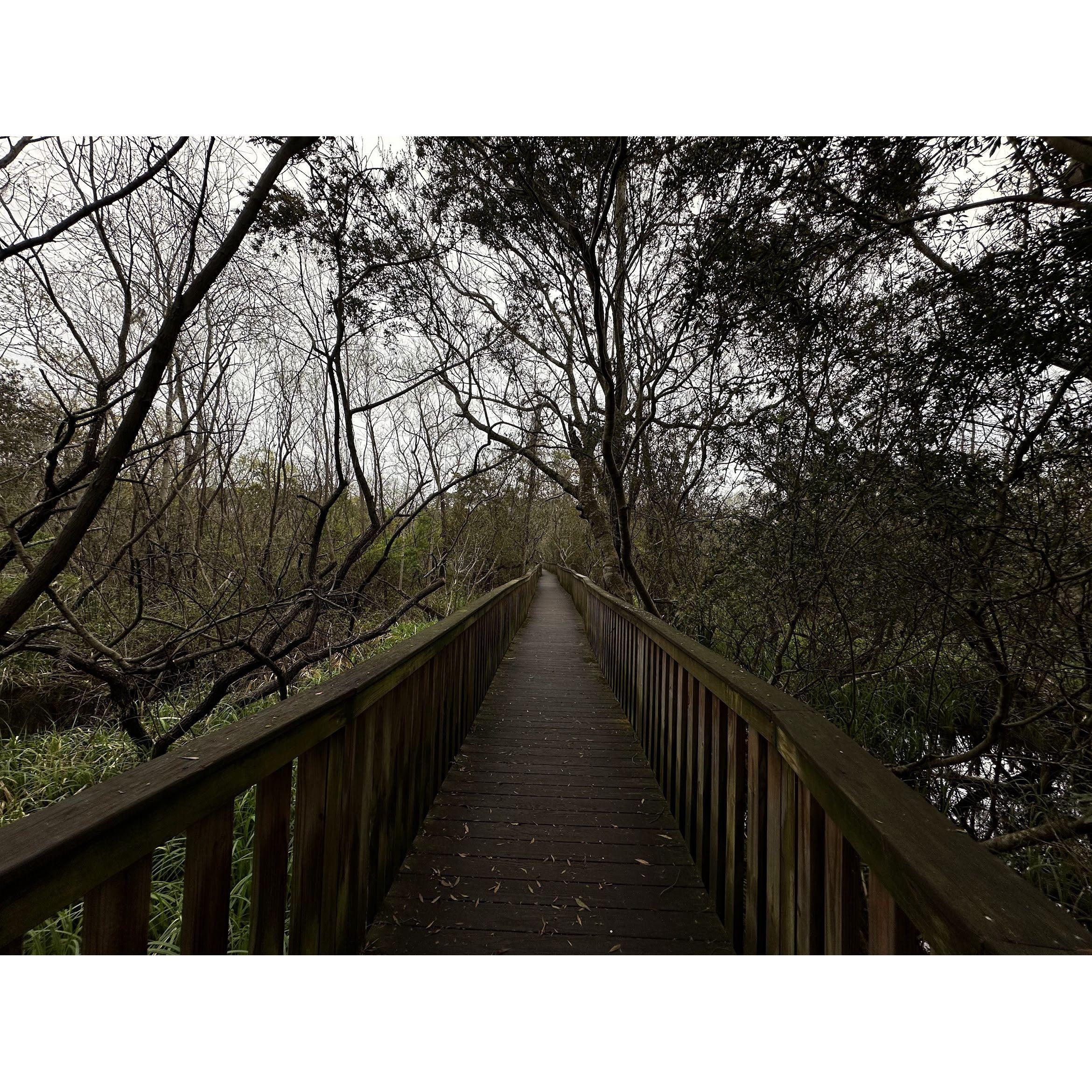 Sea Pines Forest Preserve bridge