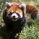 Woodland Park Zoo