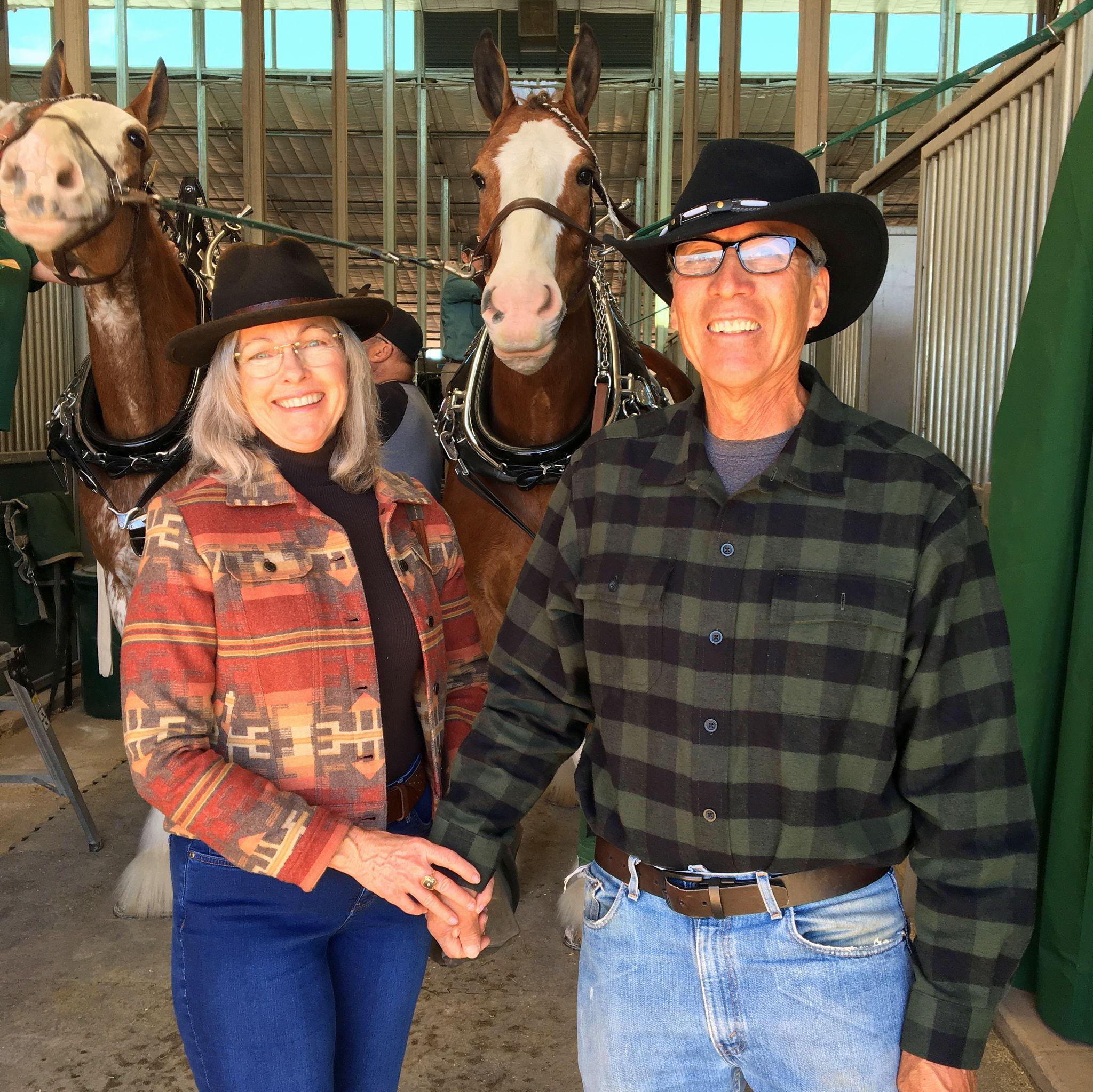 We love going to draft horse competitions.