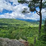 Wu Ledges Town Forest Walking Trail
