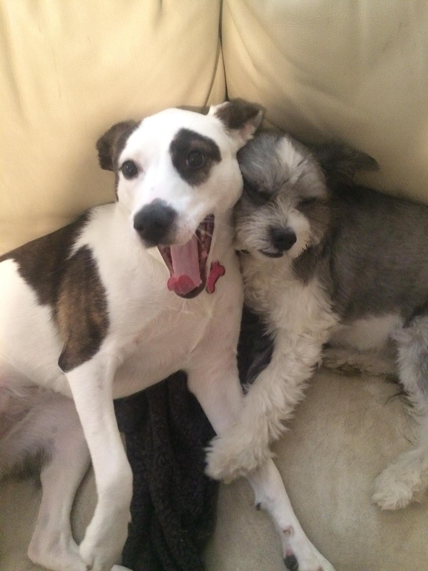 June & Jasper