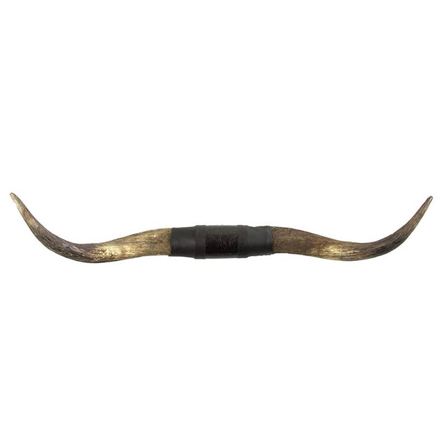 Mounted Longhorn Steer Horns, 36-43 Inch Span, Natural Finish, Black Leather Mounting