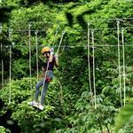 Aerial Adventures