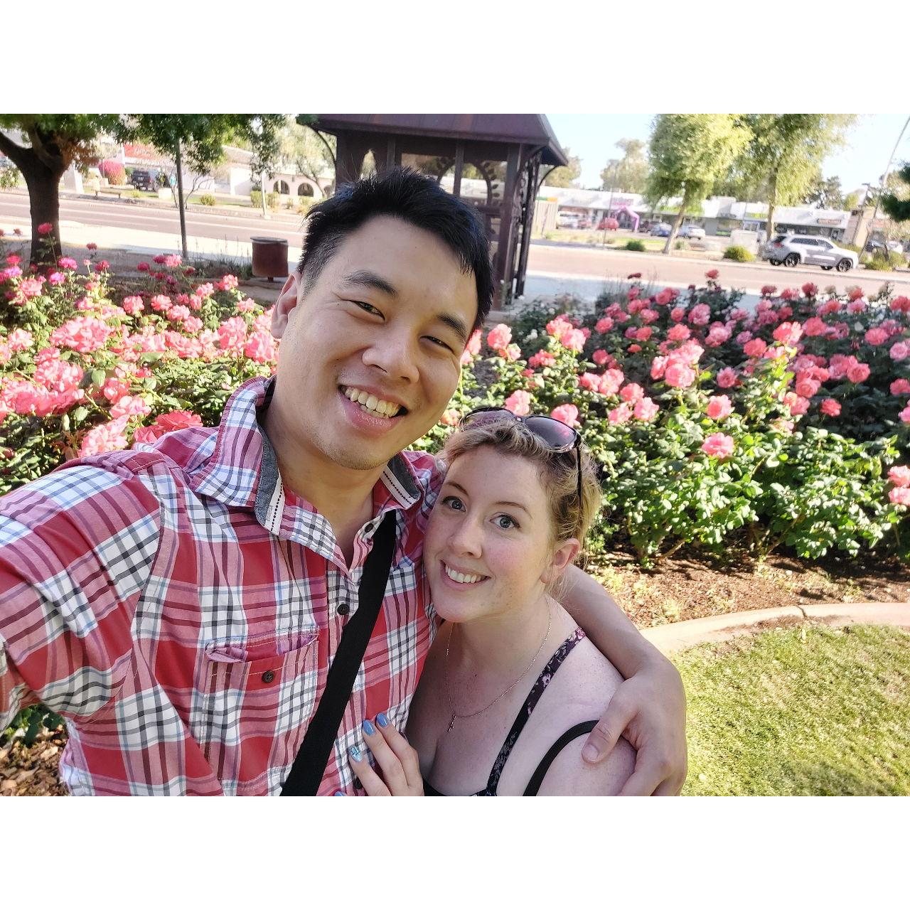 Local rose garden