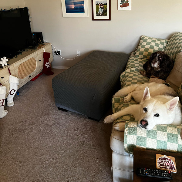 New Couch Fund