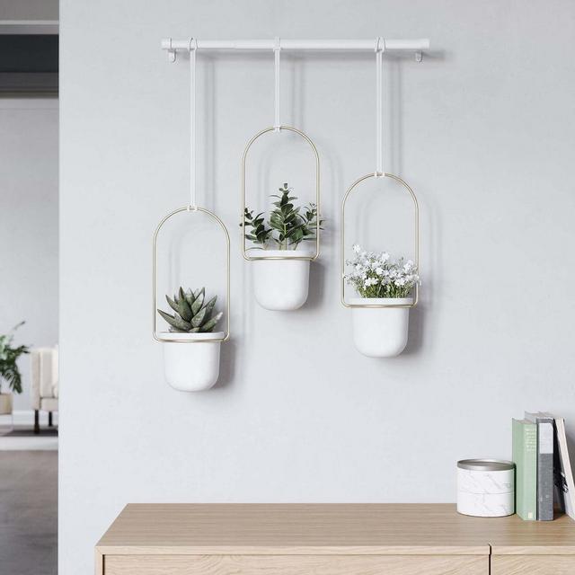 Triflora Hanging Planter, White & Brass