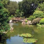 Japanese Garden
