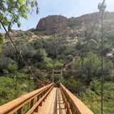 Boyce Thompson Arboretum